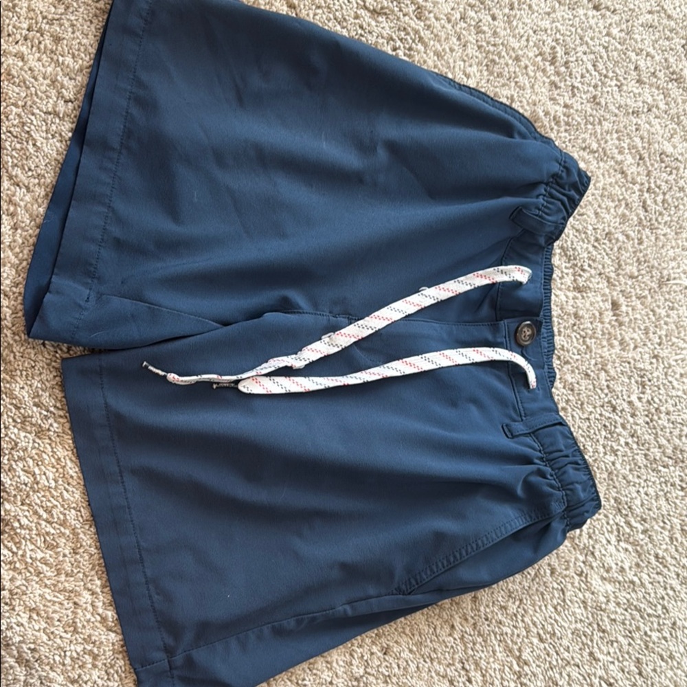 Chubbies Navy Blue Hybrid Shorts